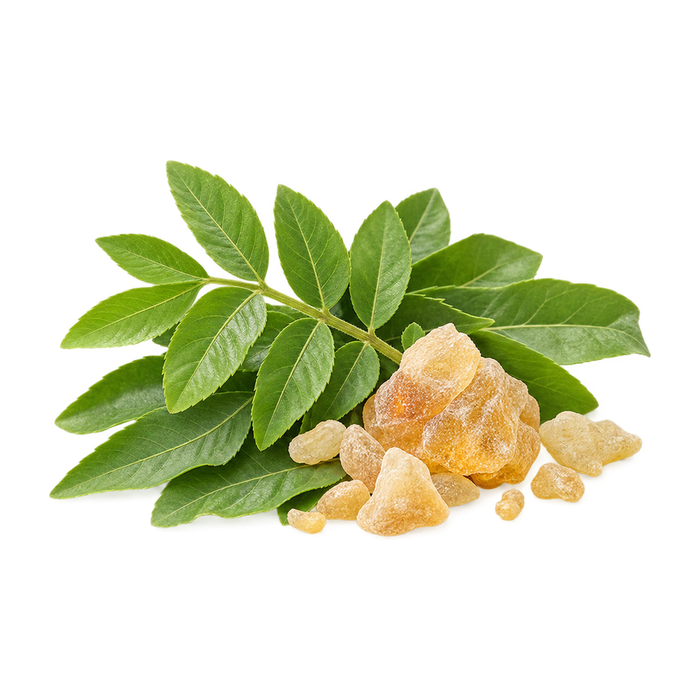 Boswellia