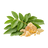 Ekstrakt z boswellii