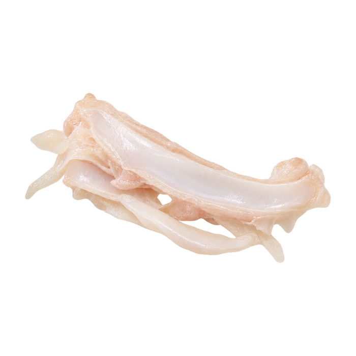 Kolagen typu II