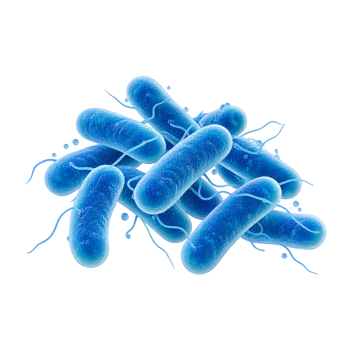 Probiotyki